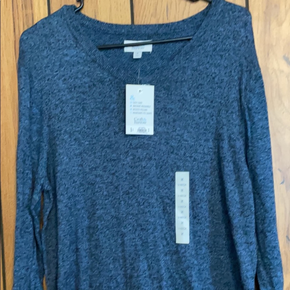 Blue Sweater